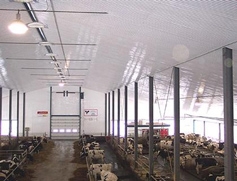 Ag-Tuf dairy farm